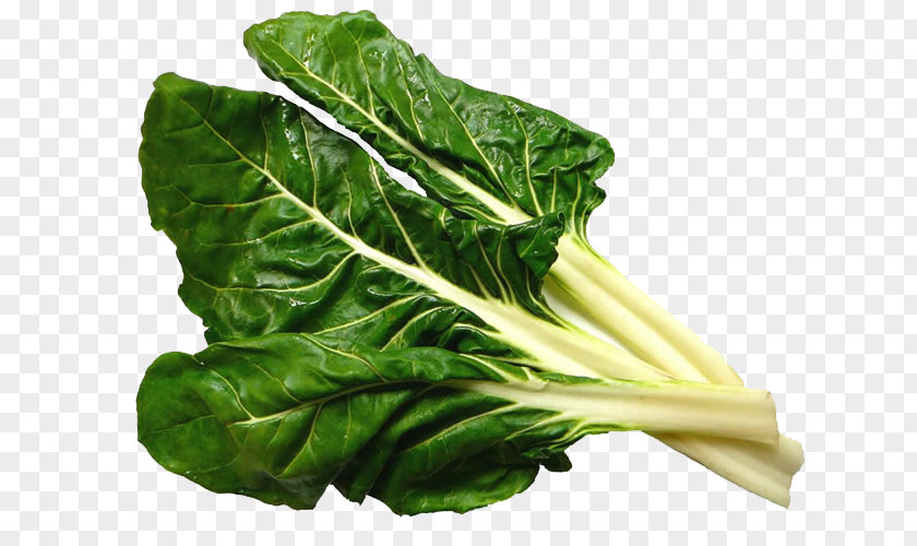 Vegetable Chard Beetroot Food Fruit PNG