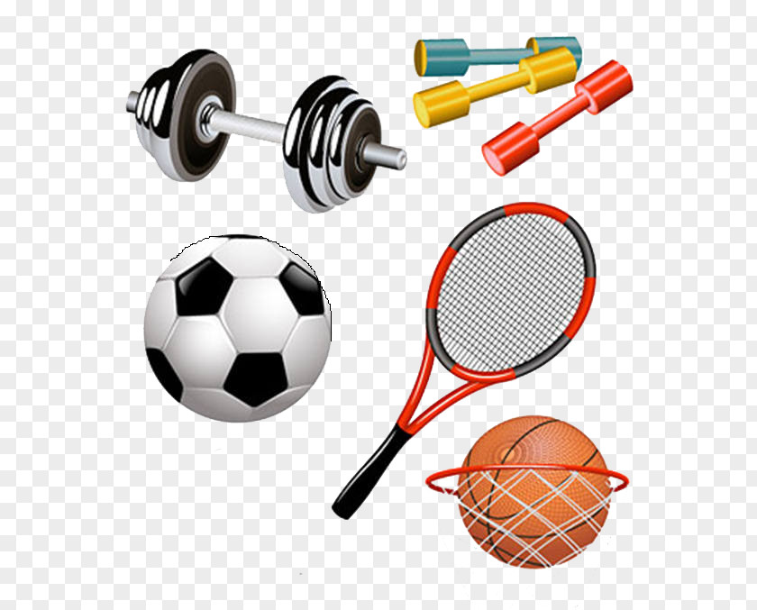 Cartoon Sports Equipment Euclidean Vector Clip Art PNG