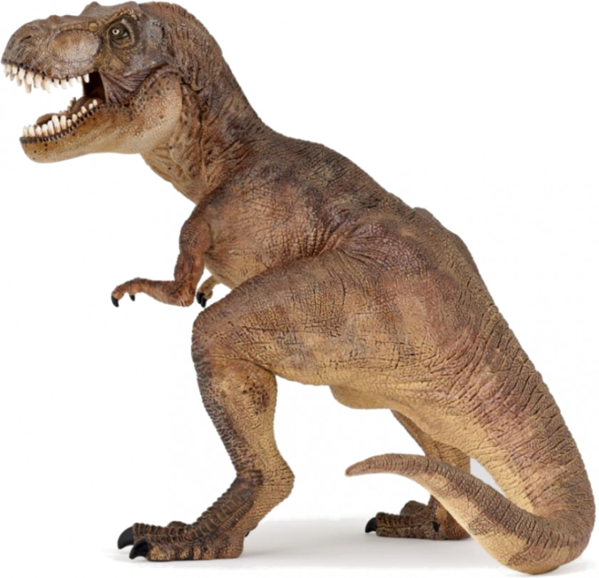 Dinosaur Carnivores: Hunter Tyrannosaurus Acrocanthosaurus Triceratops Stegosaurus PNG