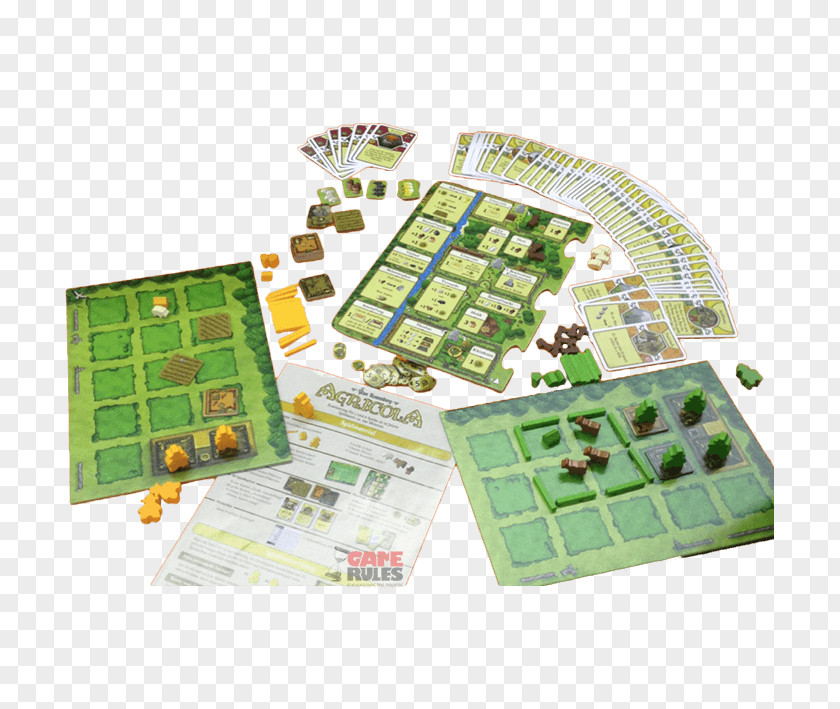 EXPANSION Board Game Flowers Video PNG