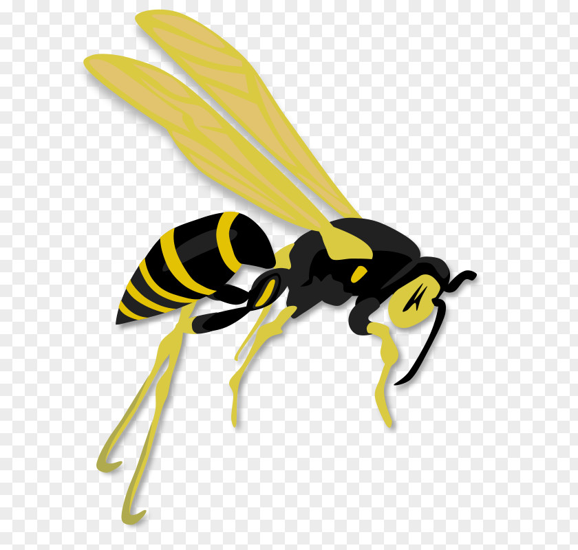 Flying Saucer Clipart Hornet Bee Wasp Clip Art PNG