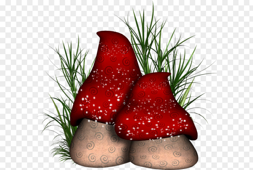 Large Mushroom Colorful Buckle-free Material Clip Art PNG