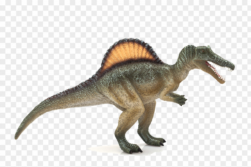 T Rex Spinosaurus Tyrannosaurus Triceratops Dinosaur Deinocheirus PNG