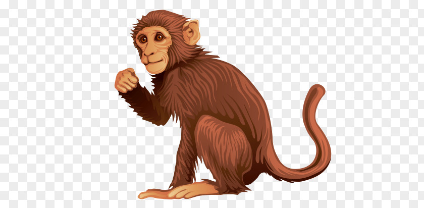 Monkey Chinese Astrology Zodiac Astrological Sign PNG