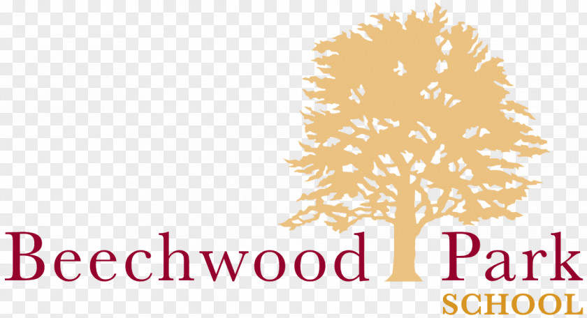 School Beechwood Park Logo Urban PNG