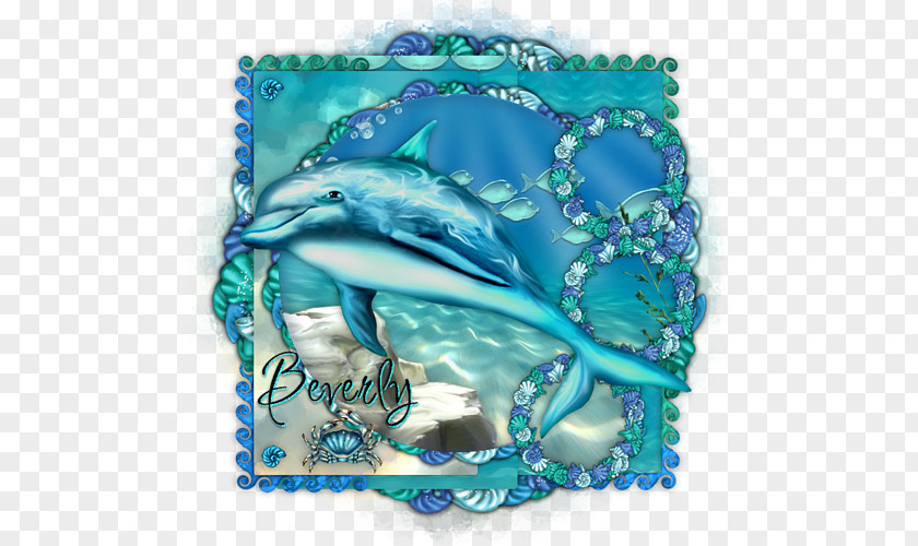 Under Sea Dolphin Aqua Turquoise Cobalt Blue Teal PNG