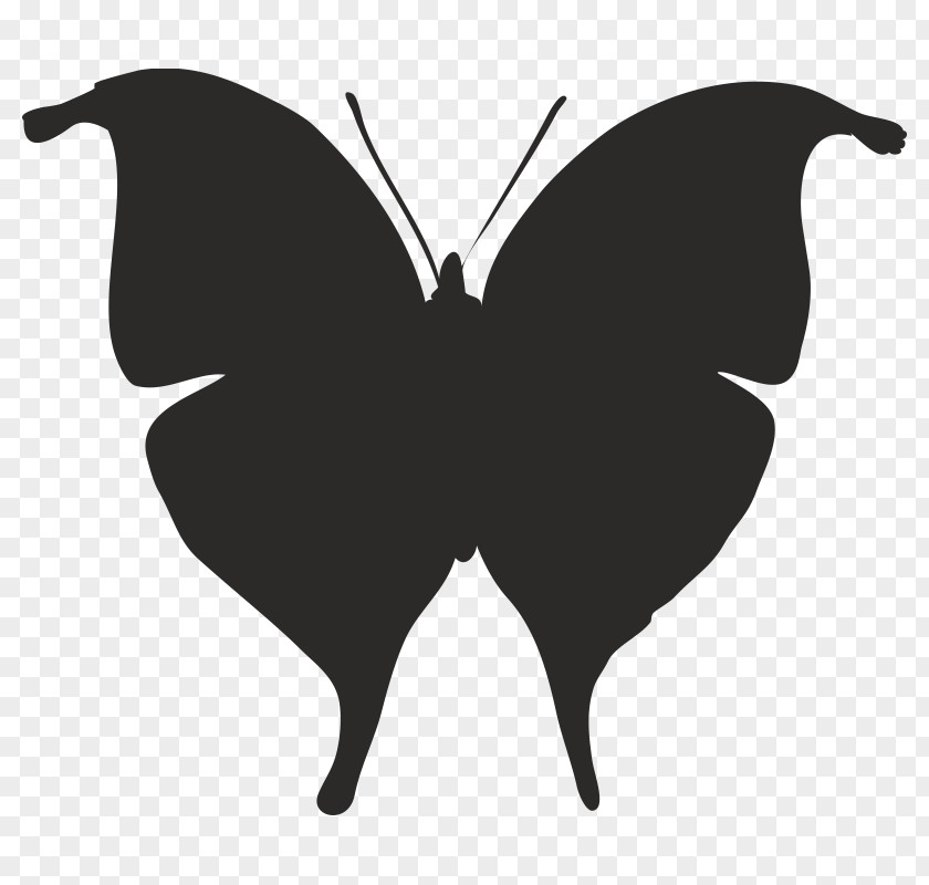 Buterflies Brush-footed Butterflies Clip Art Silhouette Character Fiction PNG