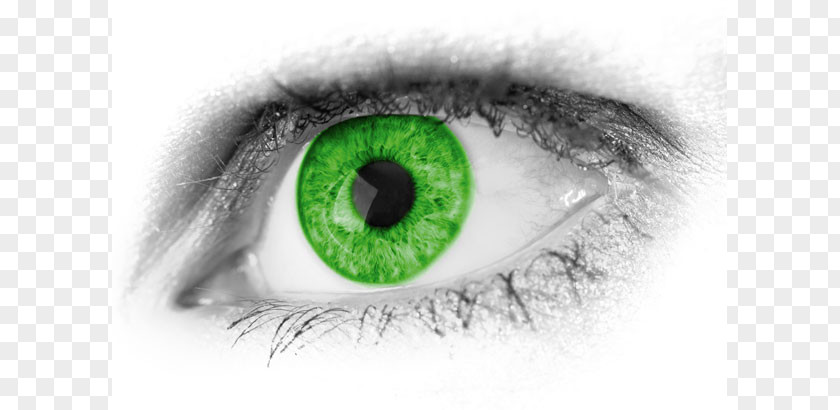 Eye Color Cliparts Tracking Addiction Visual Perception Neuro Kinetics Inc PNG