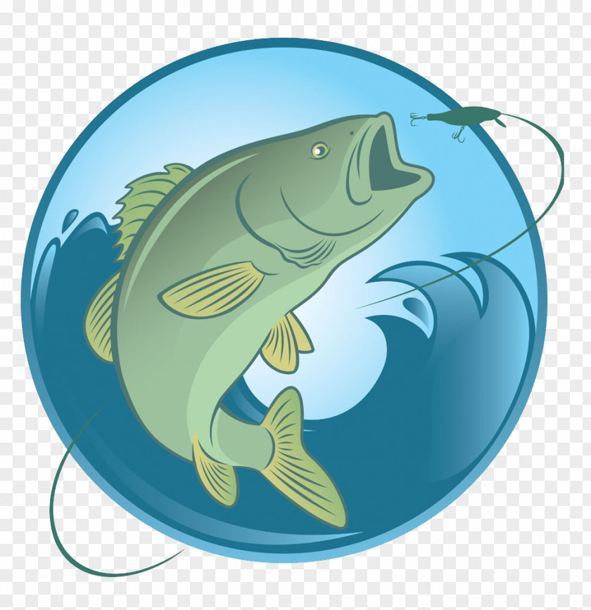 Fish Fishing Bass Illustration PNG