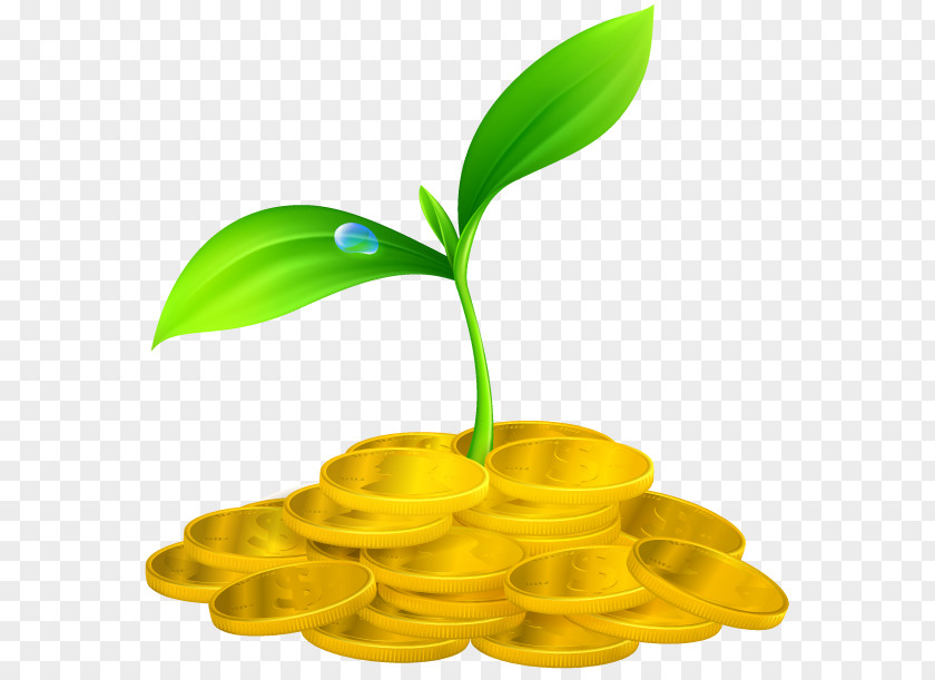 Money Tree Gold Coin Finance PNG