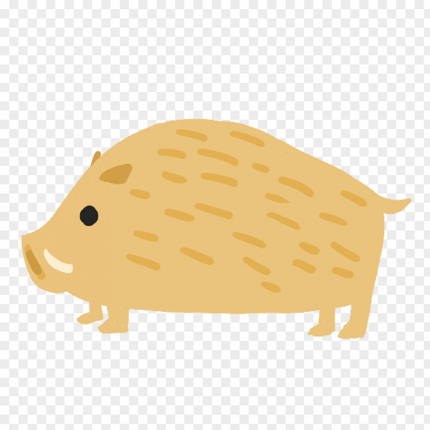 Pig Peccary Snout PNG