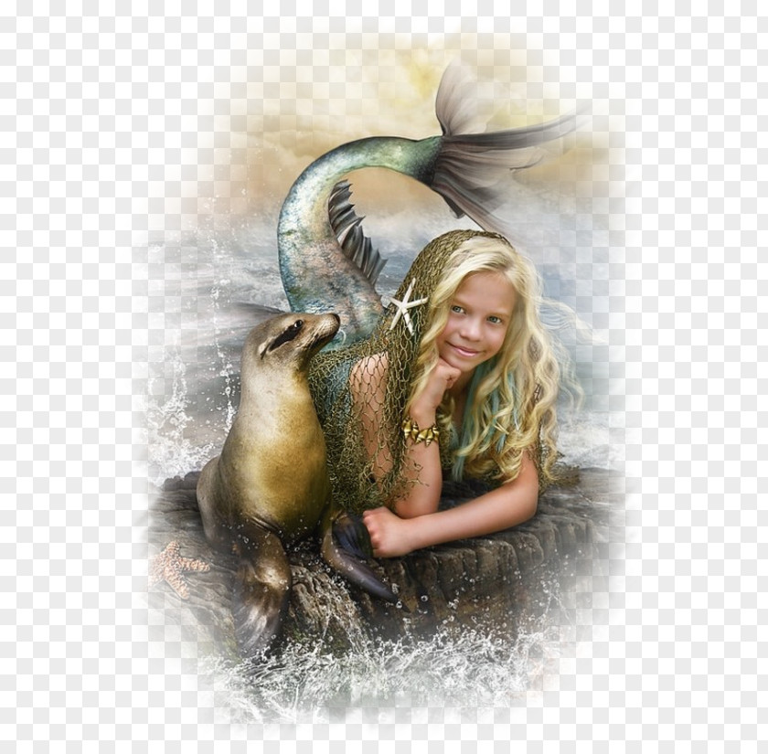 Siren Mermaid Art Fairy Fantasy PNG