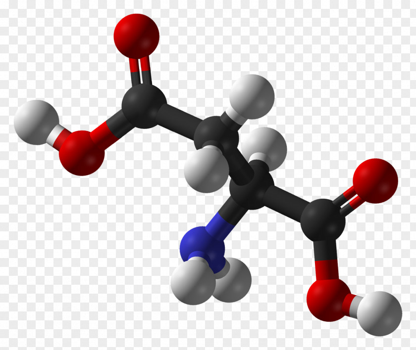 Bodybuilders Amino Acid Molecule Chemistry Alanine PNG