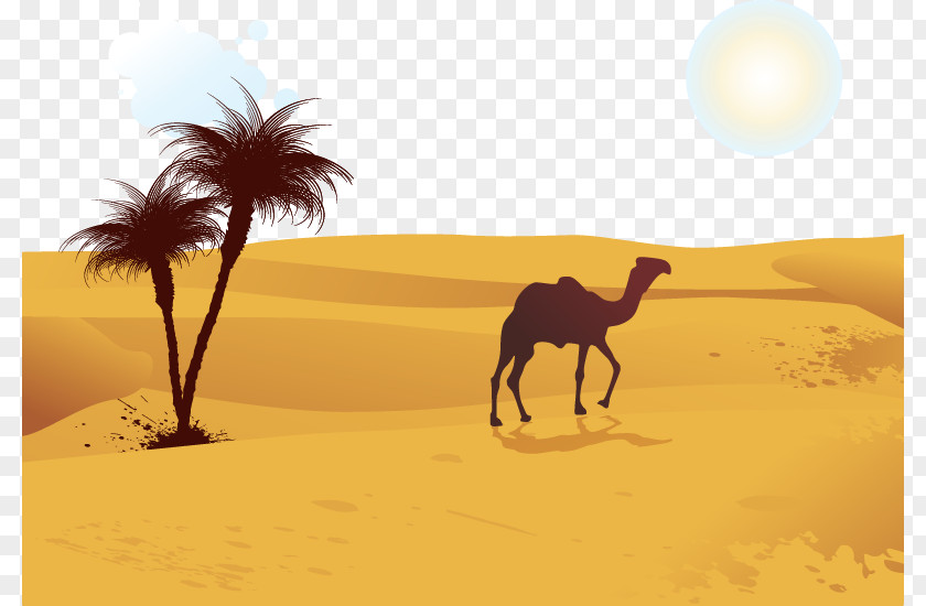 Camel Desert Computer File PNG