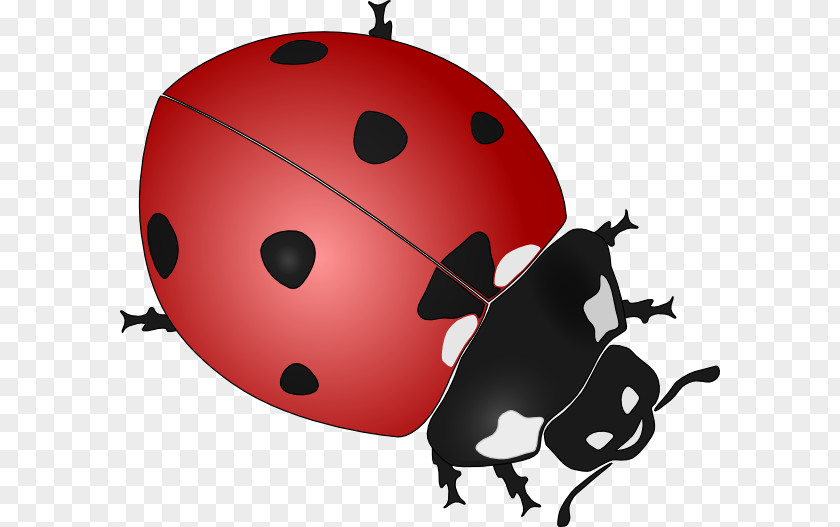 Cartoon Ladybug Cliparts Beetle Ladybird Drawing Black And White Clip Art PNG