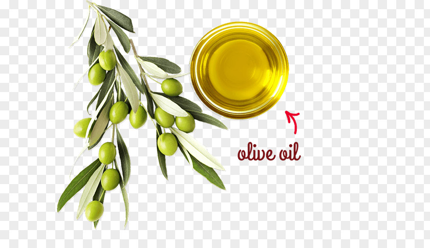 Cooking Oil Soybean Olive Alternative Health Services Medicine PNG