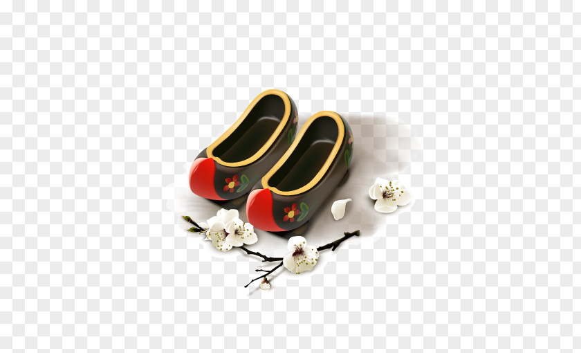 Decorative Shoes Shoe Clog Flip-flops PNG