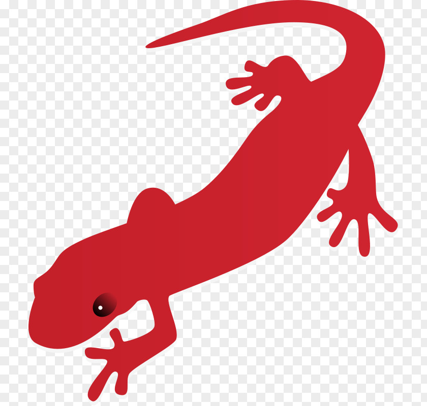 Free Tiger Clipart Fire Salamander Newt Content Clip Art PNG