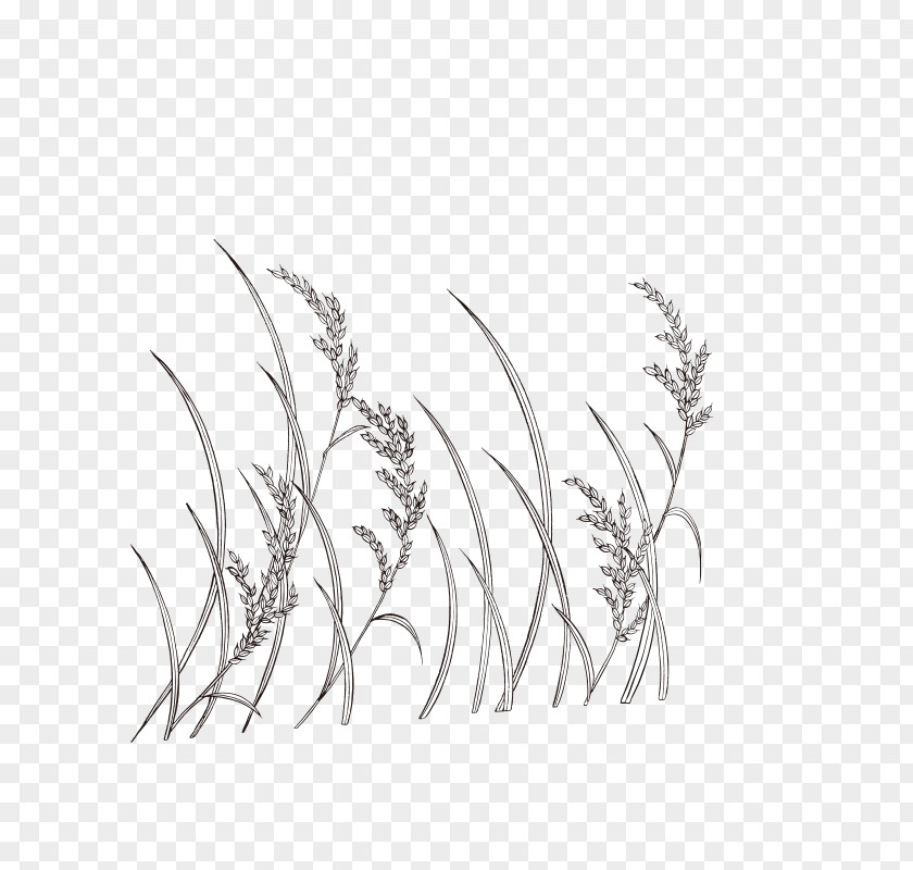 Hand-painted Wheat Line Art Monochrome Painting PNG