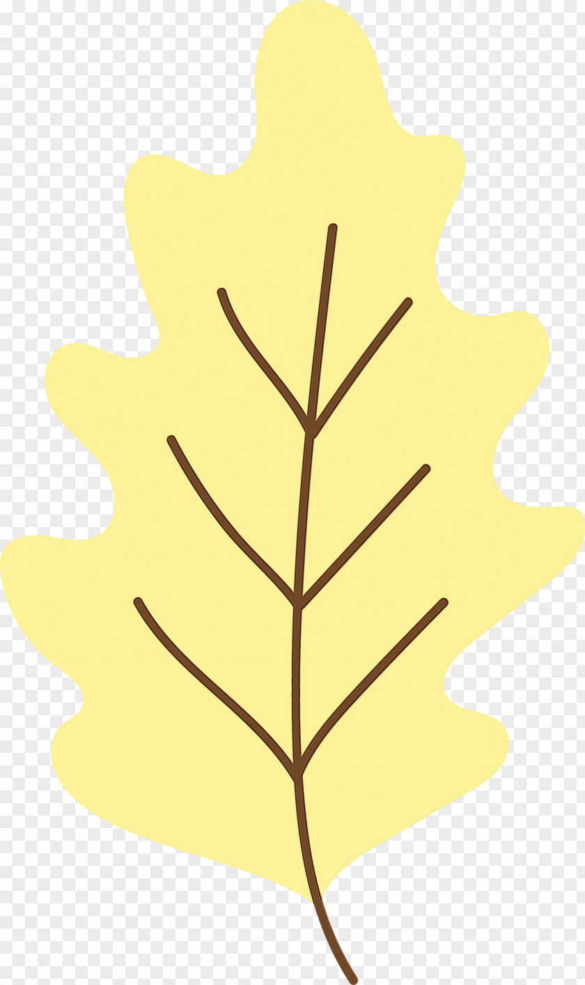 Leaf Yellow M-tree Line H&m PNG