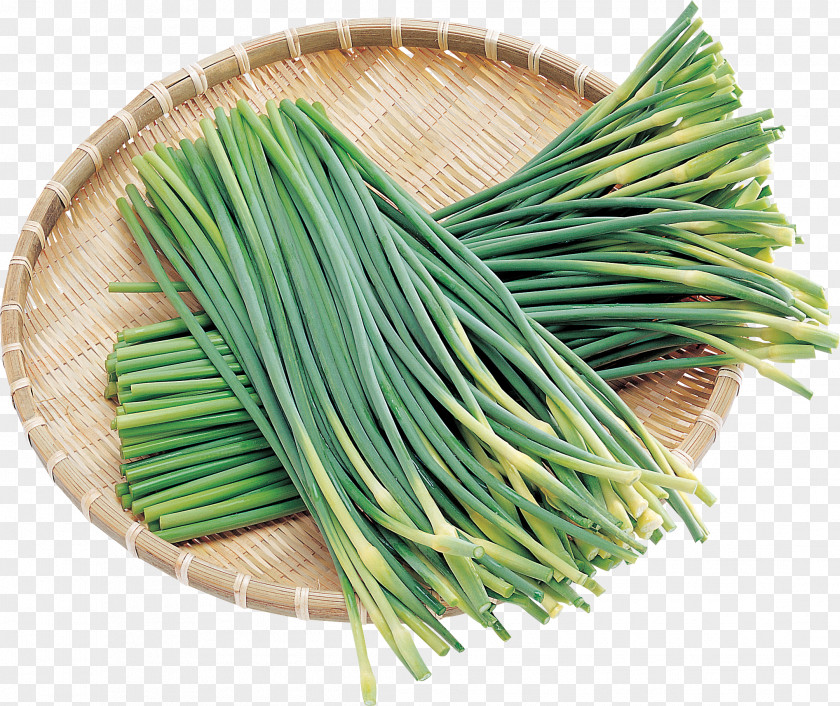 Onion Allium Fistulosum Vegetable Download PNG