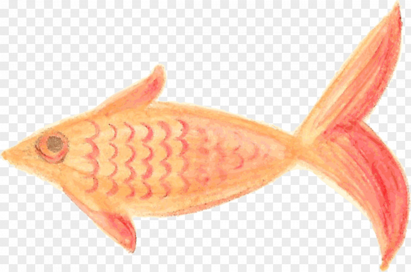 Fish Painted Painting PNG