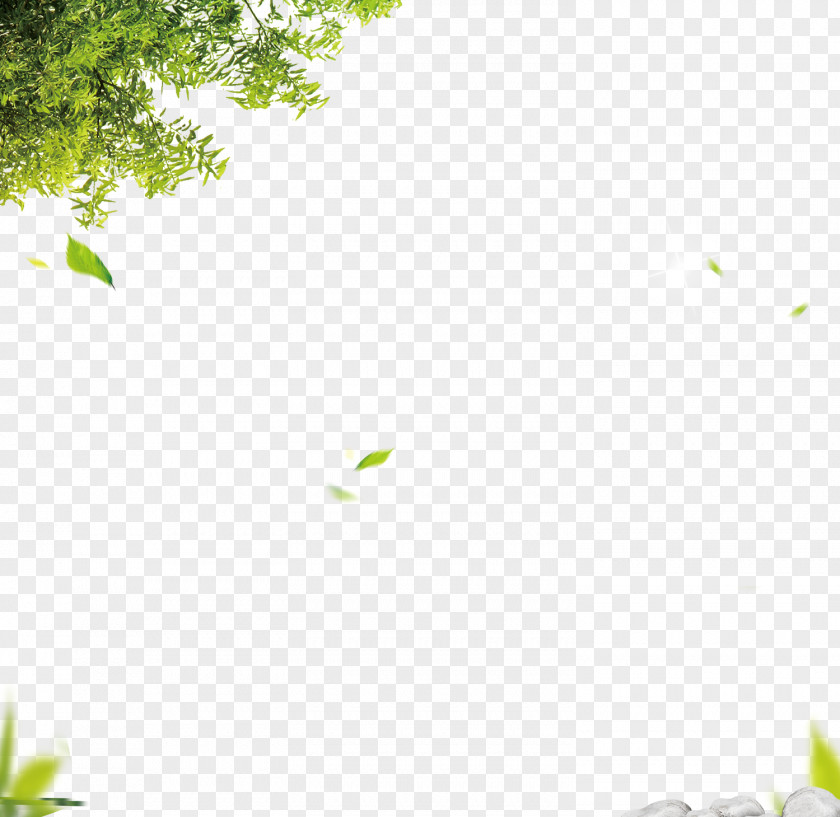 Leaf Green Computer File PNG file, leaves falling background, red leaf tree under blue sky clipart PNG