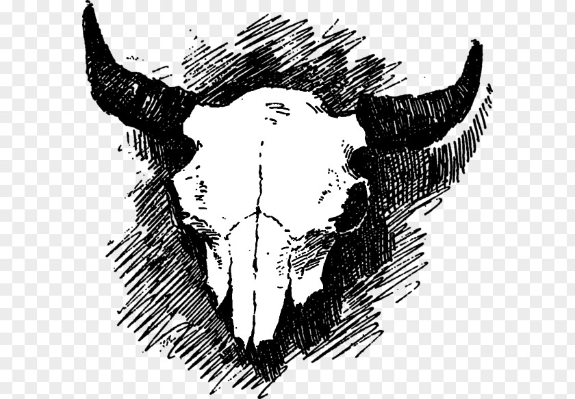 Skull Cattle Visual Arts PNG