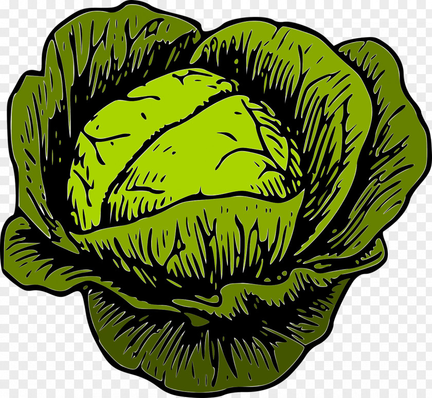 Veggies Savoy Cabbage Vegetable Clip Art PNG