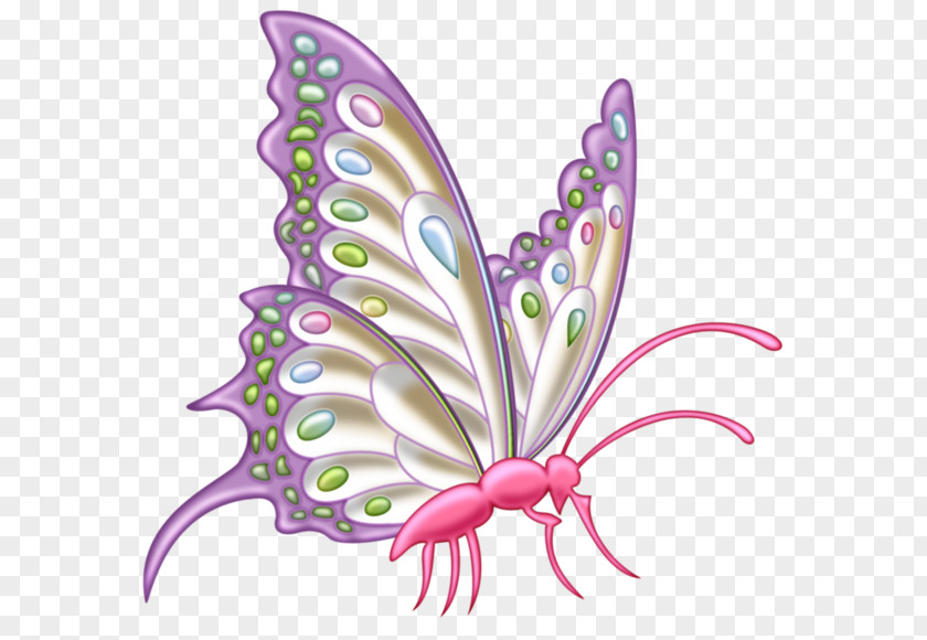 A Butterfly Clip Art PNG