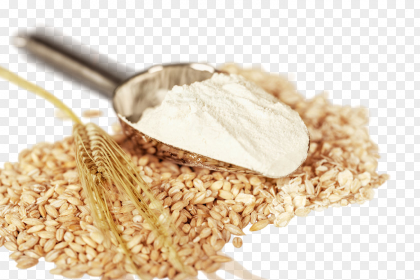 Flour Oat Atta Wheat Whole Grain PNG