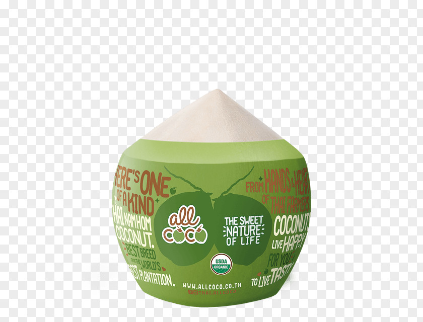 Ice Cream Coconut Water Milk Sno Balls PNG