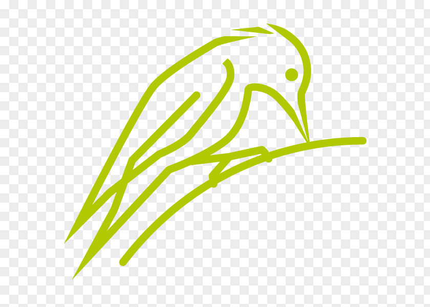 Leaf Green Plant Stem Product Design Clip Art PNG