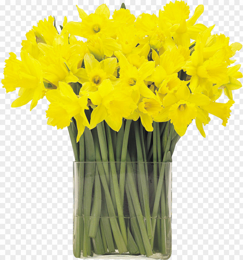 Mother's Day I Wandered Lonely As A Cloud Flower Narcissus Pseudonarcissus Hyacinth Tulip PNG