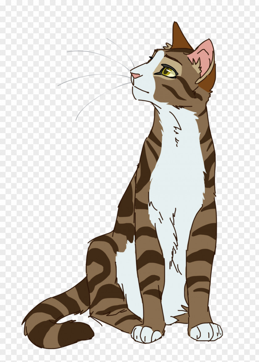 Cats Of The Clans Warriors Leafpool Teller Pointed Stones PNG