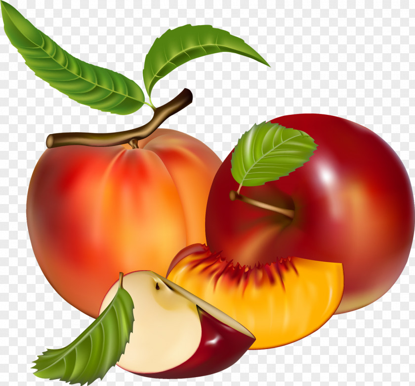 Peach Juice Fruit Clip Art PNG