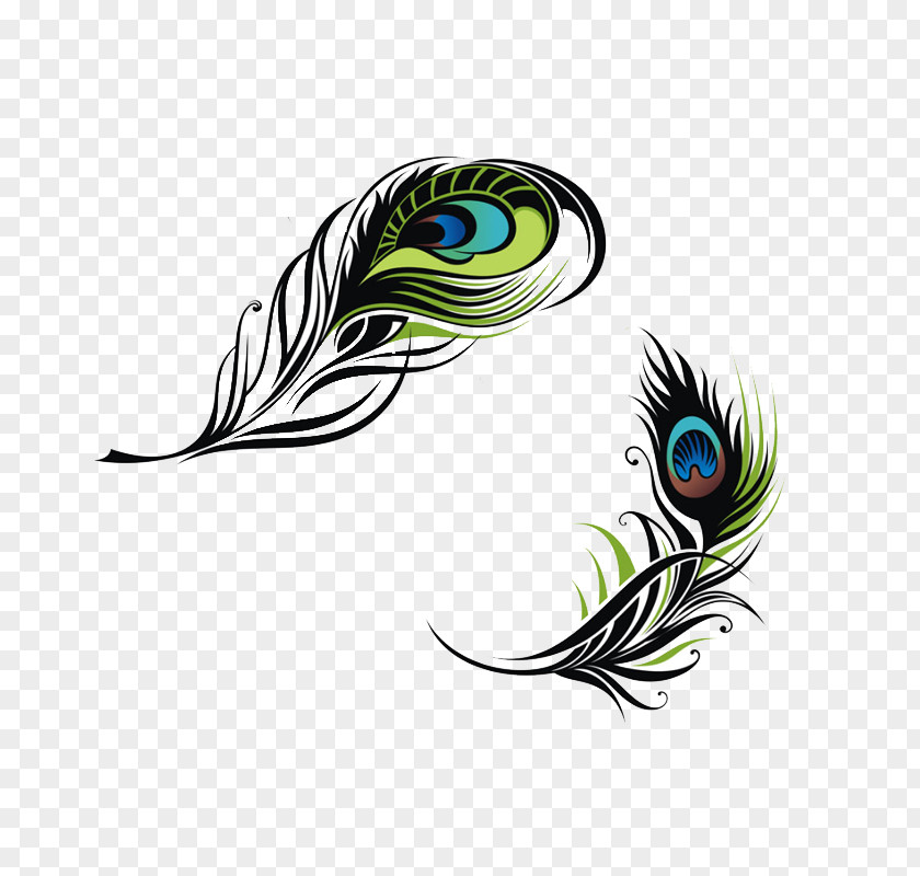 Peacock Feather Bird Peafowl Euclidean Vector PNG