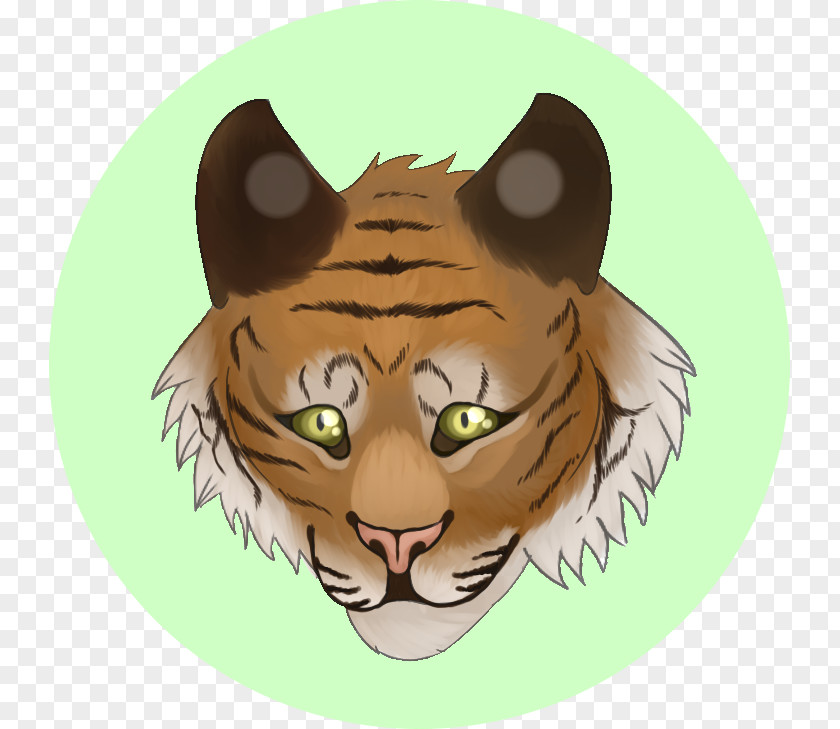 Tiger Whiskers Lion Cat Snout PNG