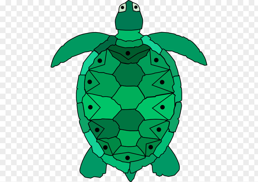 Turtle Cartoon Hawksbill Sea Clip Art PNG