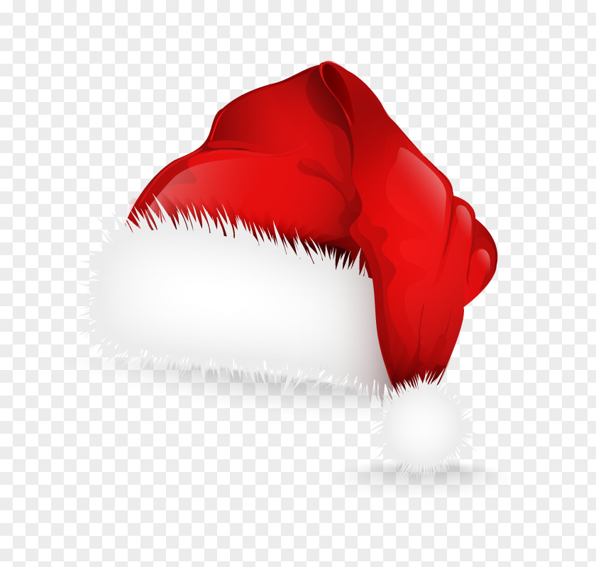 Vector Christmas Hat Euclidean Bonnet PNG