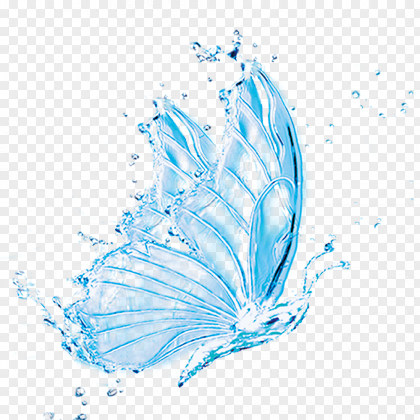 Water Butterfly Creative Ideas Transparency And Translucency PNG