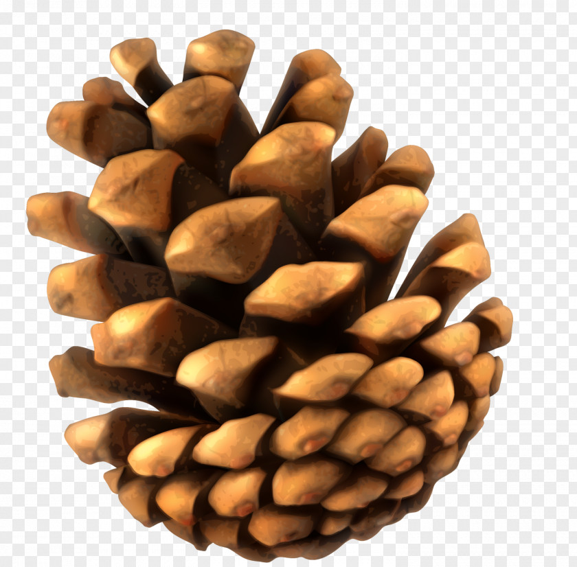 Yellow Minimalist Pine Cone Conifer PNG