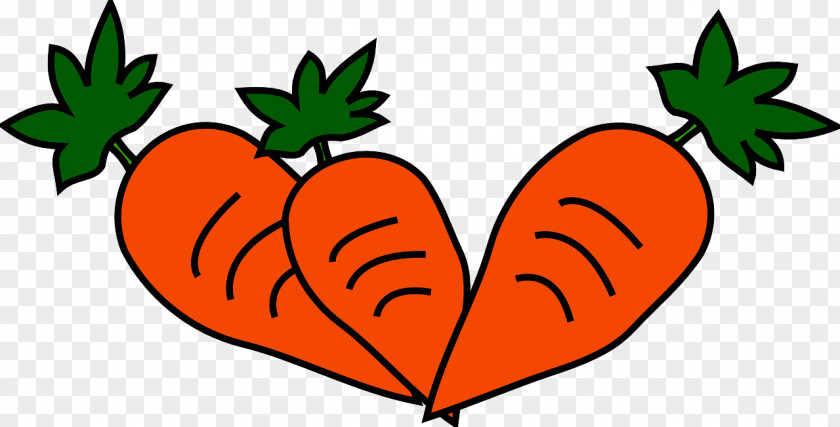 Carrot Baby Vegetable Clip Art PNG