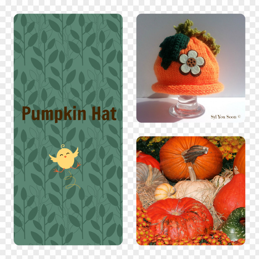 Cat In The Hat Pumpkin Winter Squash Douchegordijn Silver Flower Shower PNG