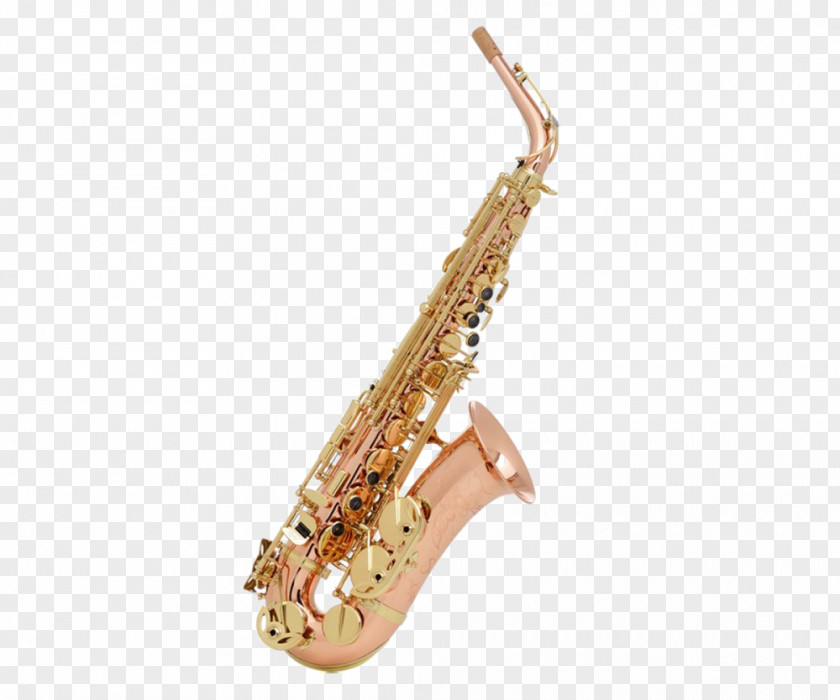 Saxophone Alto Soprano Woodwind Instrument Musical Instruments PNG