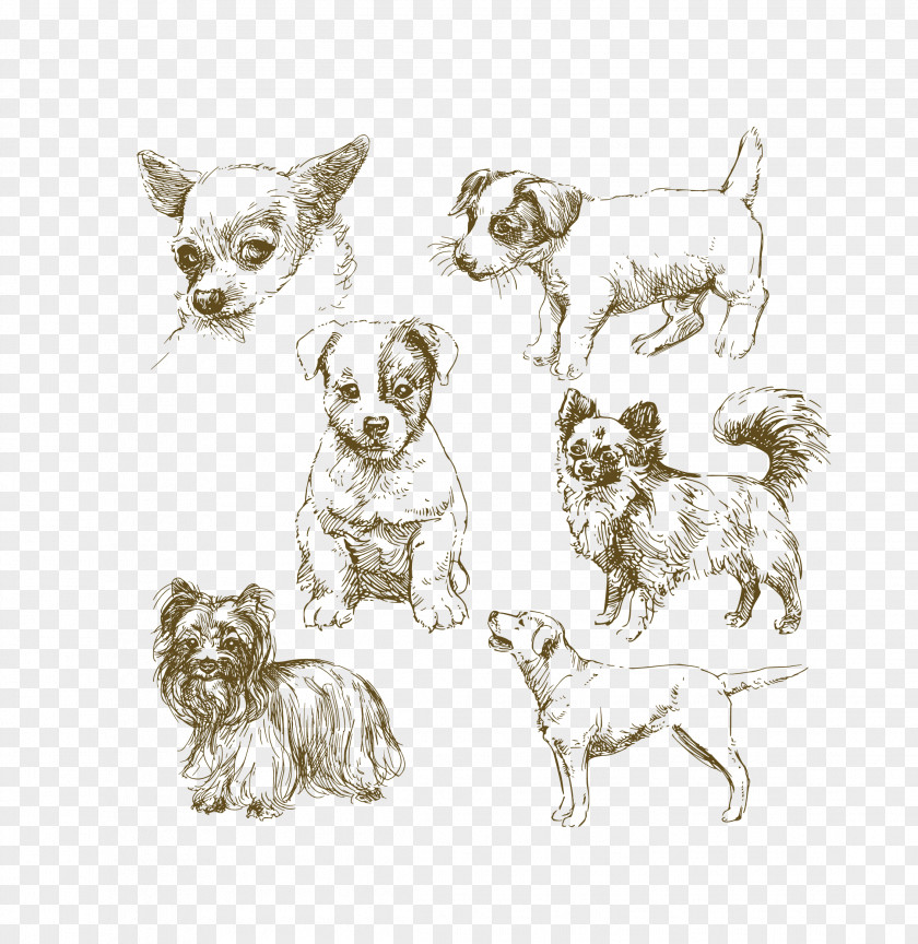 Vector Simple Pen Black Hand Painted Dog Realistic Jack Russell Terrier Puppy Drawing Illustration PNG