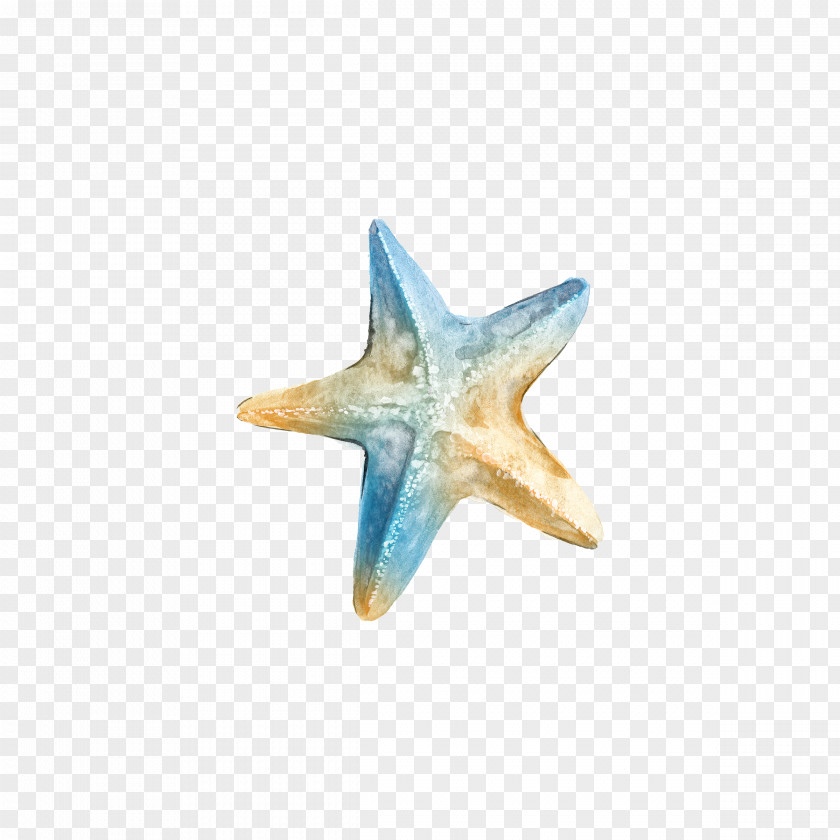 Watercolor Starfish Logo Ta Clip Art PNG