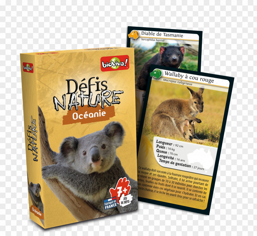 Cartes Bioviva Défis Nature Le Grand Jeu Board Game PNG