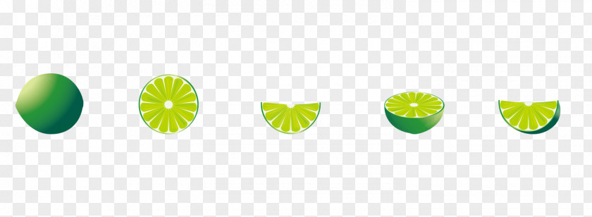 Lemon Fruit Vector Material Free Grapefruit Kaffir Lime Citron PNG