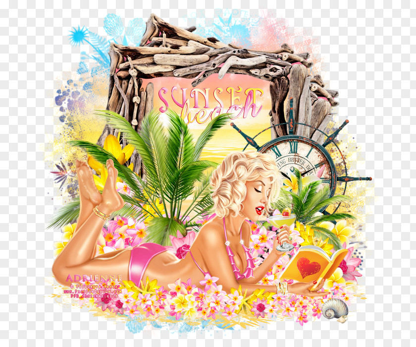 Beach Sunset Fairy PNG